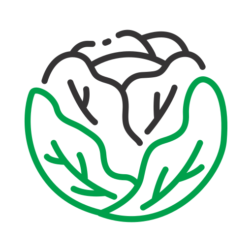 Nutrition fundamentals and healthy foods icon